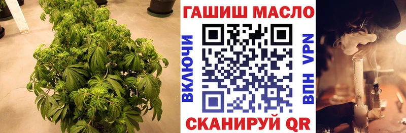 гидра зеркало  Сенгилей  ТГК вейп 